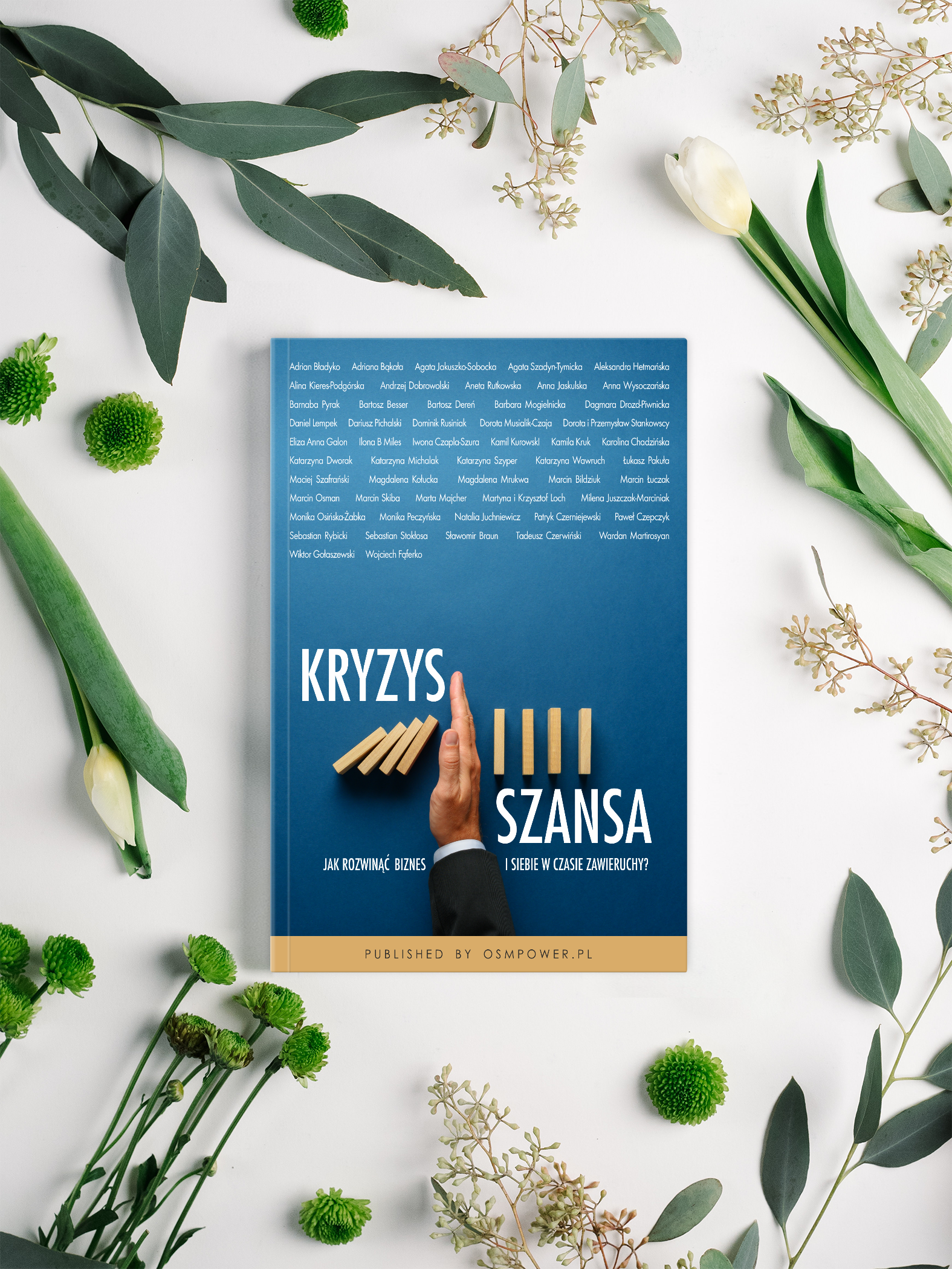 Książka Kryzys Szansa - obrazek 3
